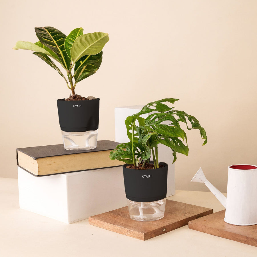 Variant image