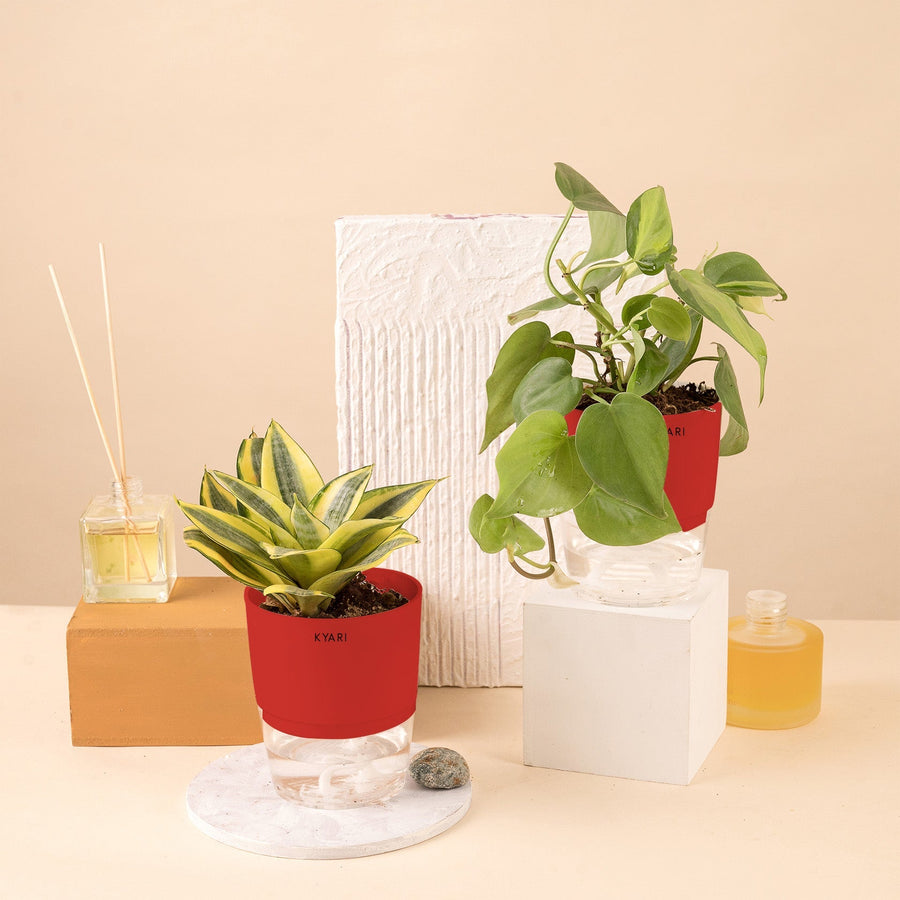 Variant image
