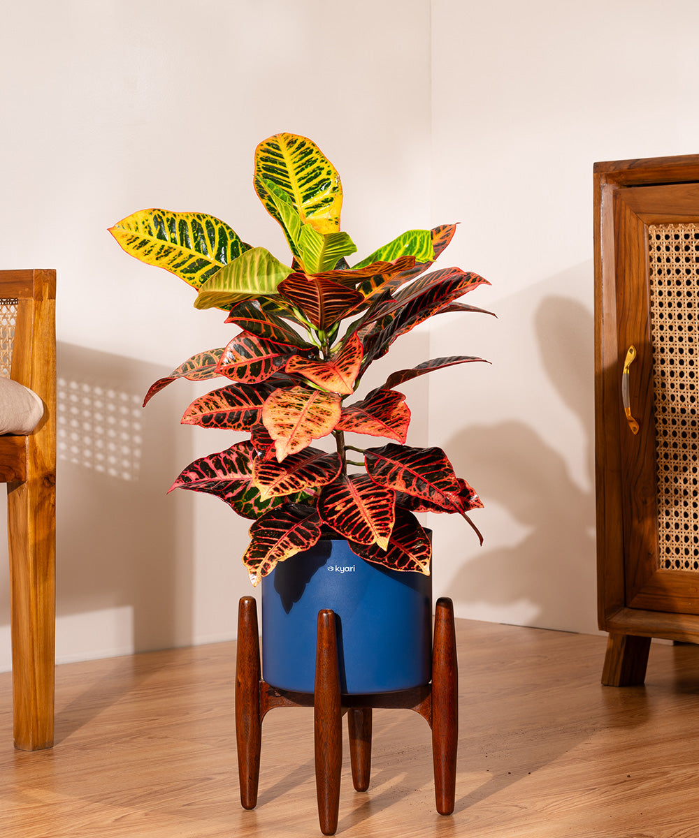Variant image