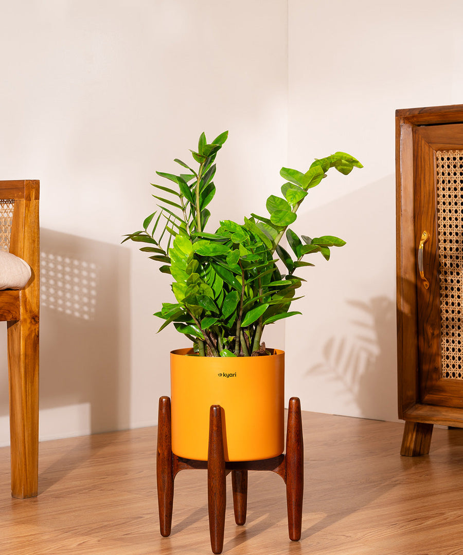 Variant image