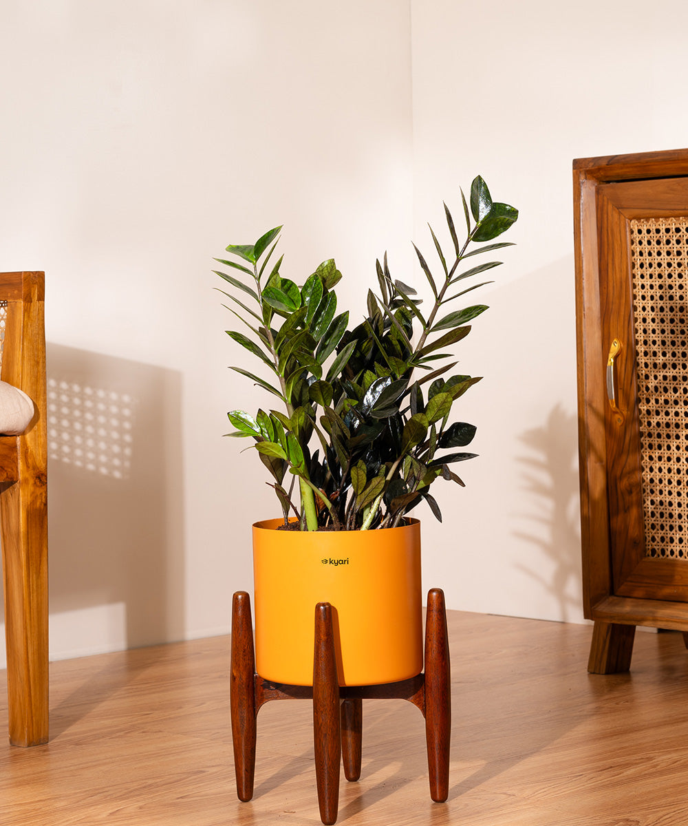 Variant image