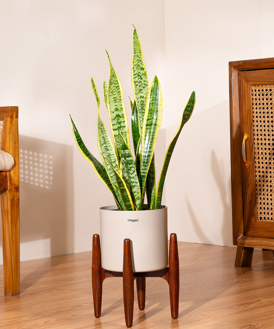 Variant image