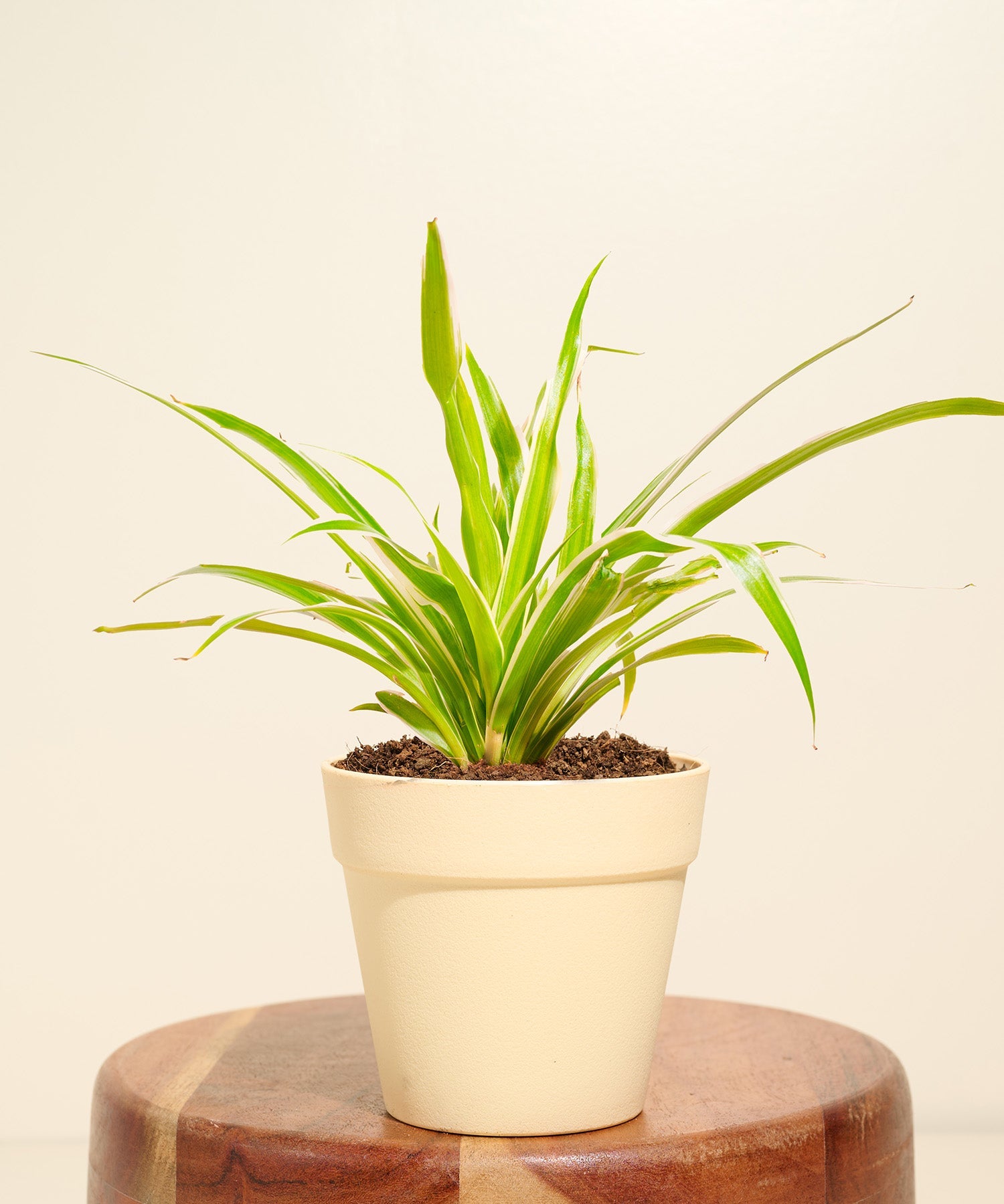 Variant image