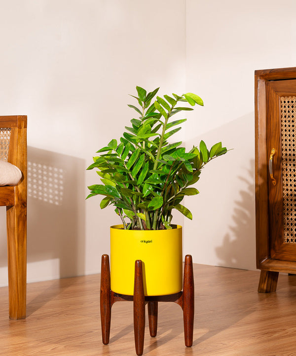 Variant image