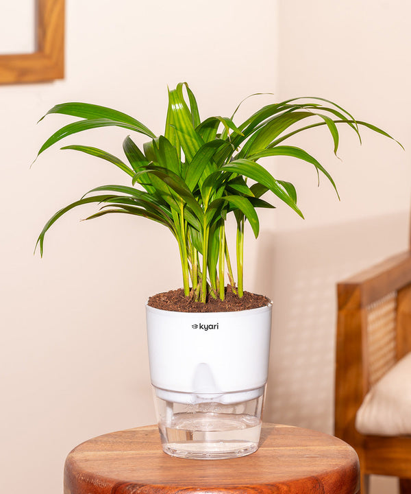 Variant image