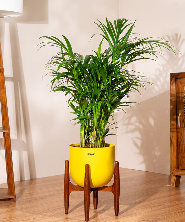 Variant image