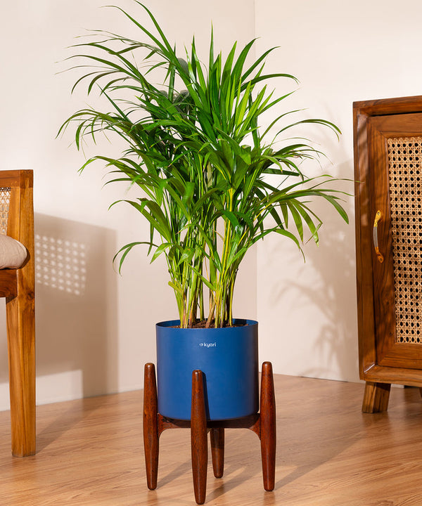 Variant image