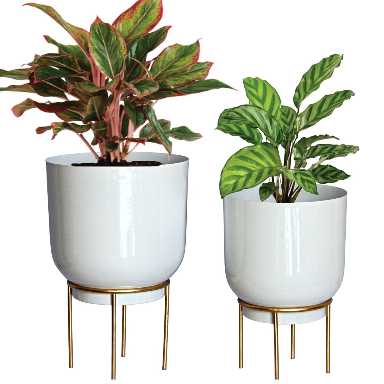 2