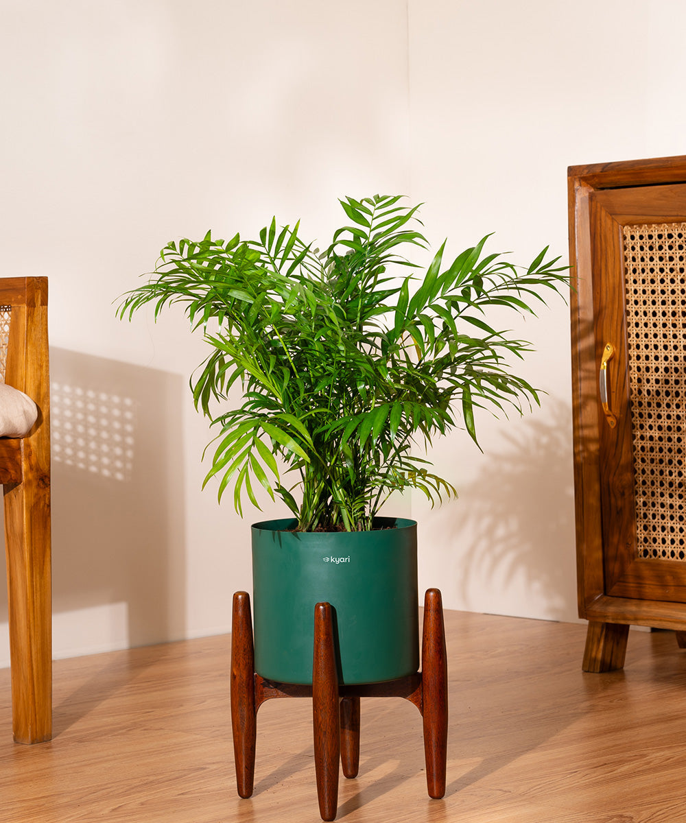 Variant image