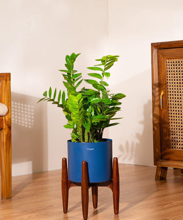 Variant image
