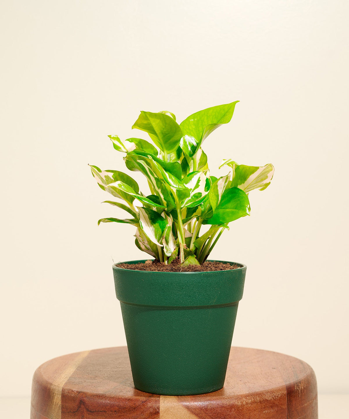 Variant image