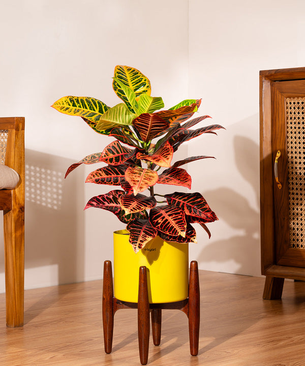 Variant image