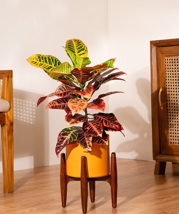 Variant image