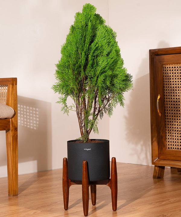 Variant image