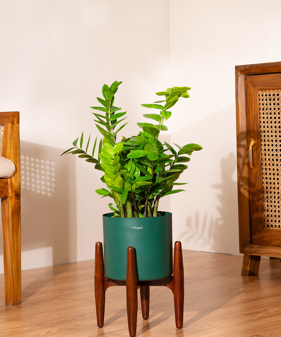 Variant image