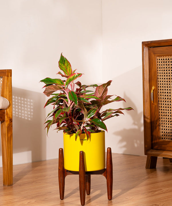Variant image
