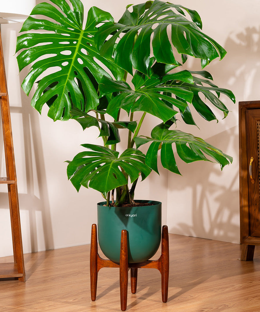 Variant image
