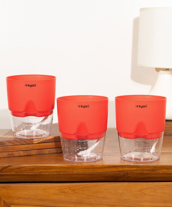 Variant image
