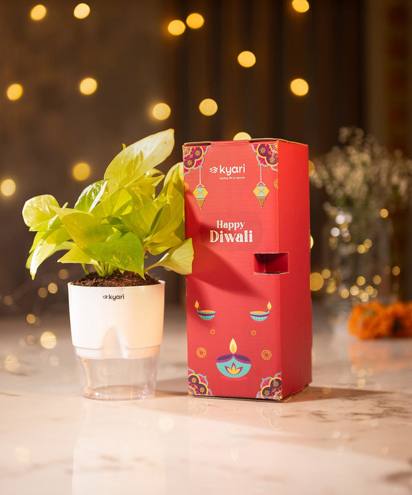 Variant image