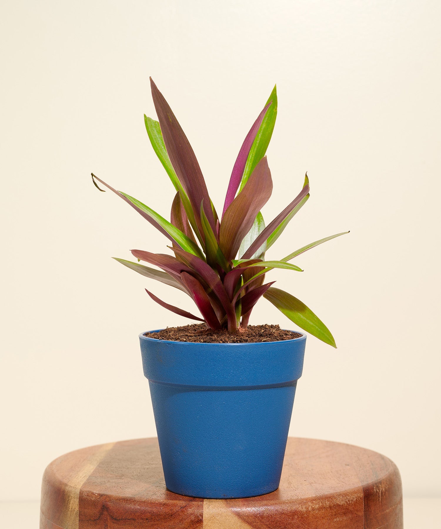 Variant image