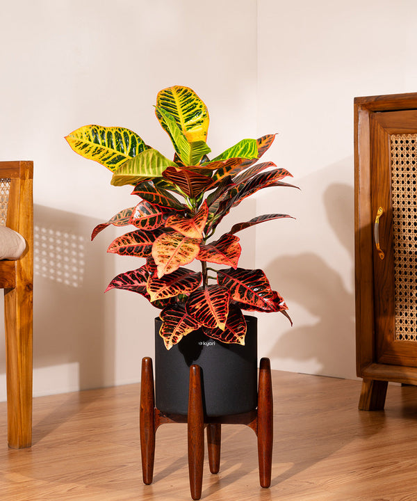 Variant image