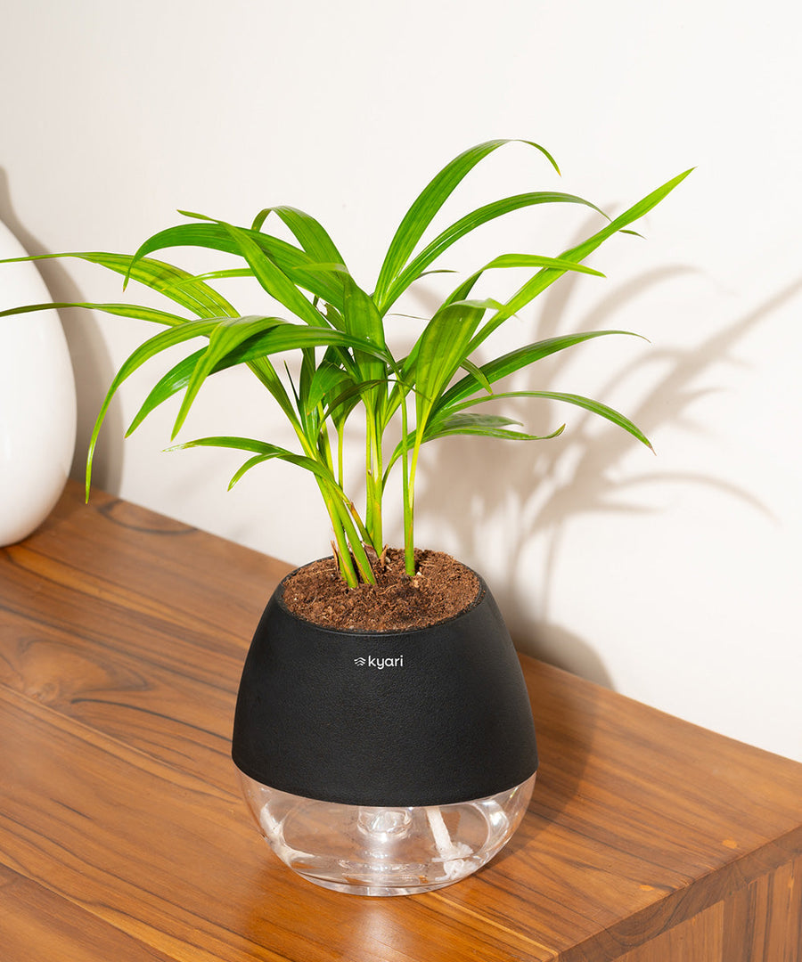Variant image