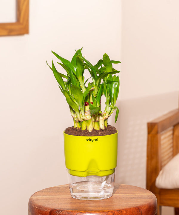 Variant image
