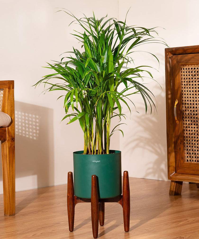 Variant image