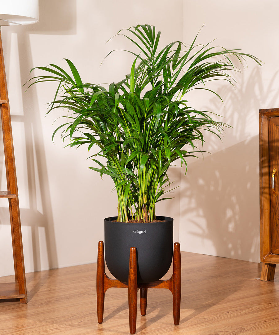 Variant image