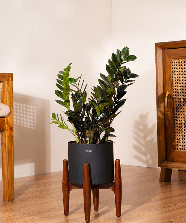 Variant image
