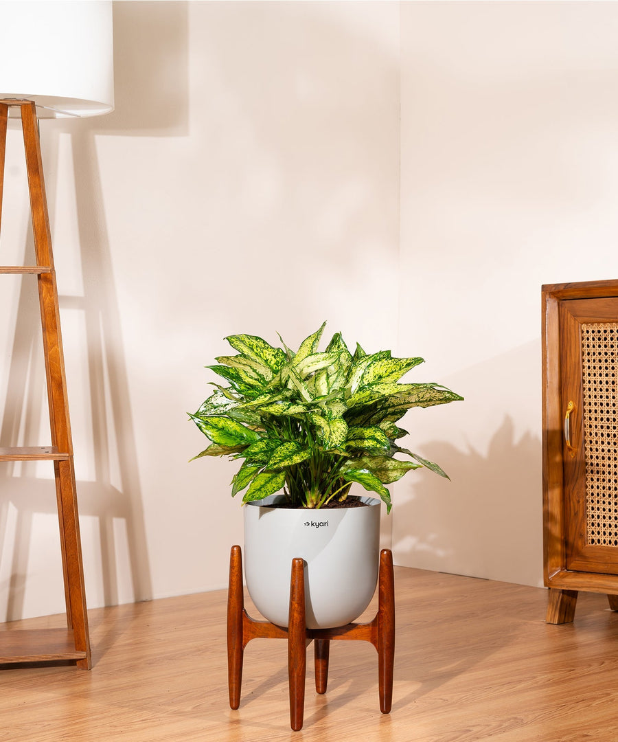 Variant image
