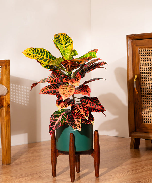 Variant image