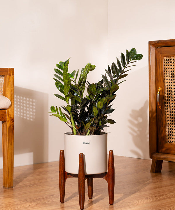 Variant image