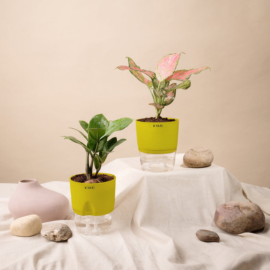 Variant image