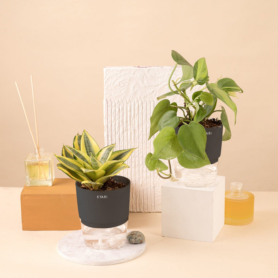 Variant image