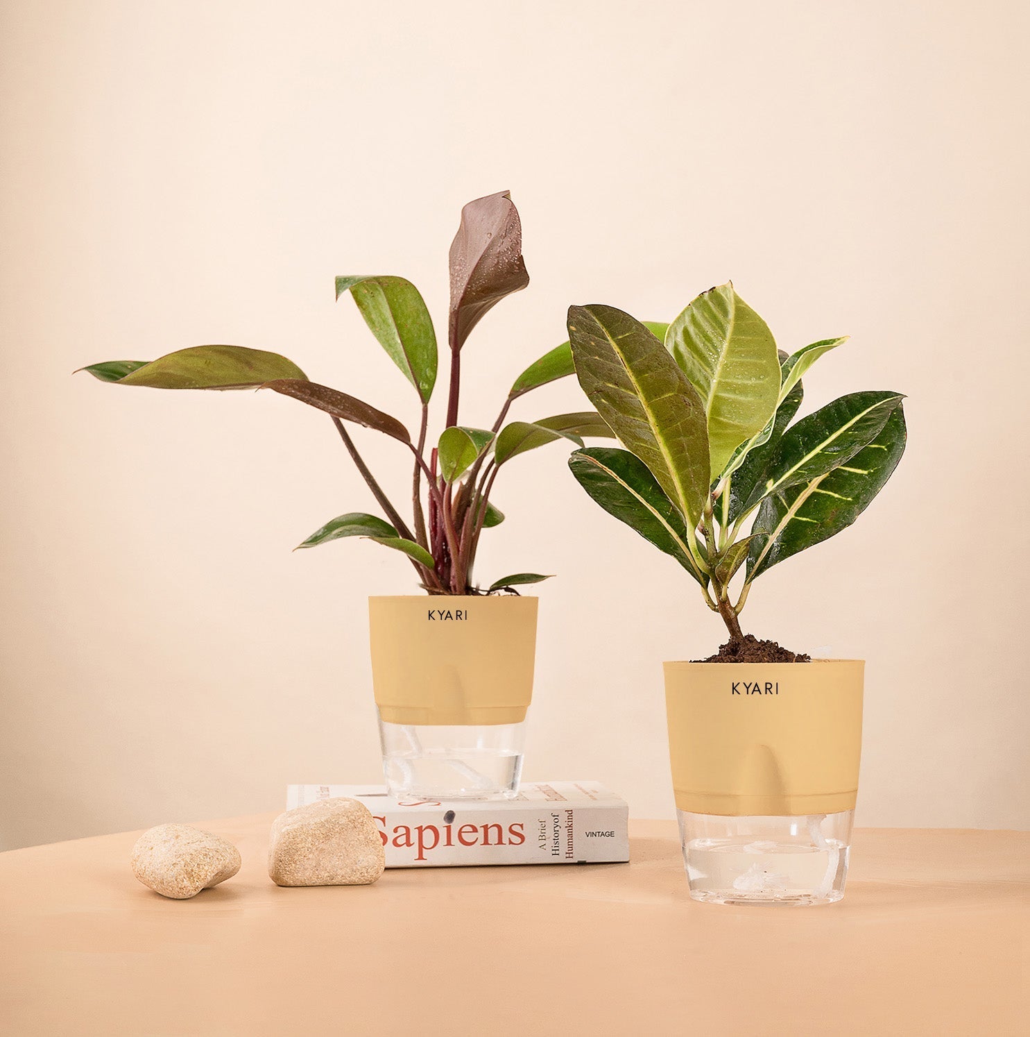 Variant image
