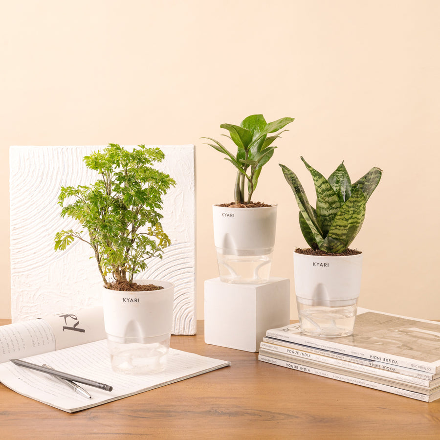 Variant image
