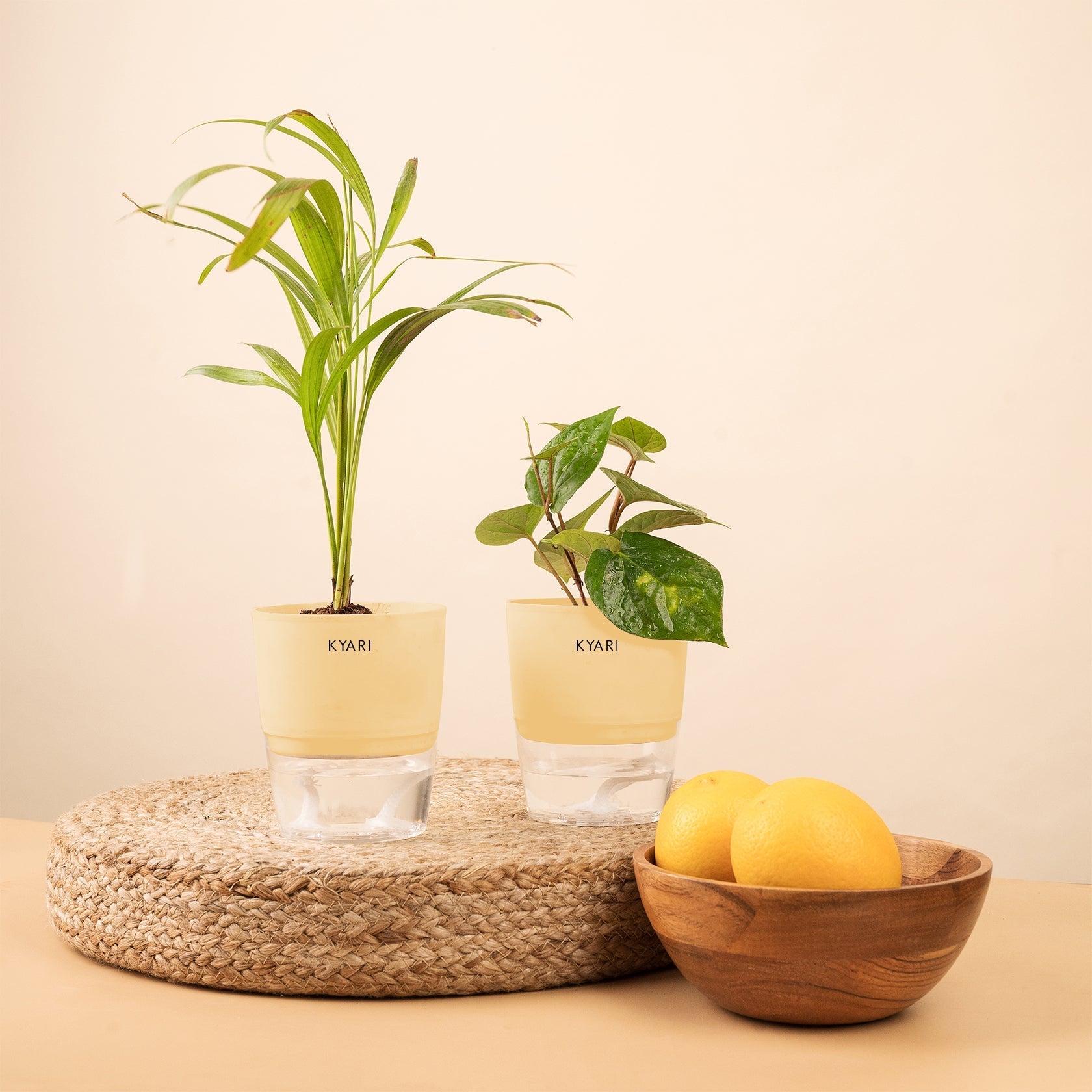 Variant image