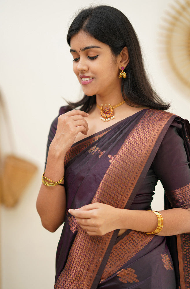 Desiring Purple Soft Silk Saree With Engrossing Blouse Piece - Shop authentic Indian Women's Fashion by Silk Folks