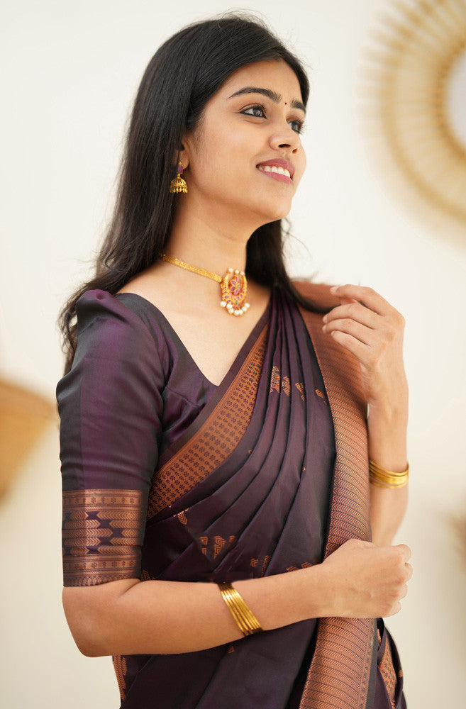 Desiring Purple Soft Silk Saree With Engrossing Blouse Piece - Shop authentic Indian Women's Fashion by Silk Folks