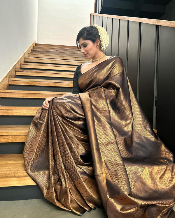Lovely Black Soft Banarasi Silk Saree With Elaborate Blouse Piece - Shop authentic Indian Women's Fashion by Silk Folks