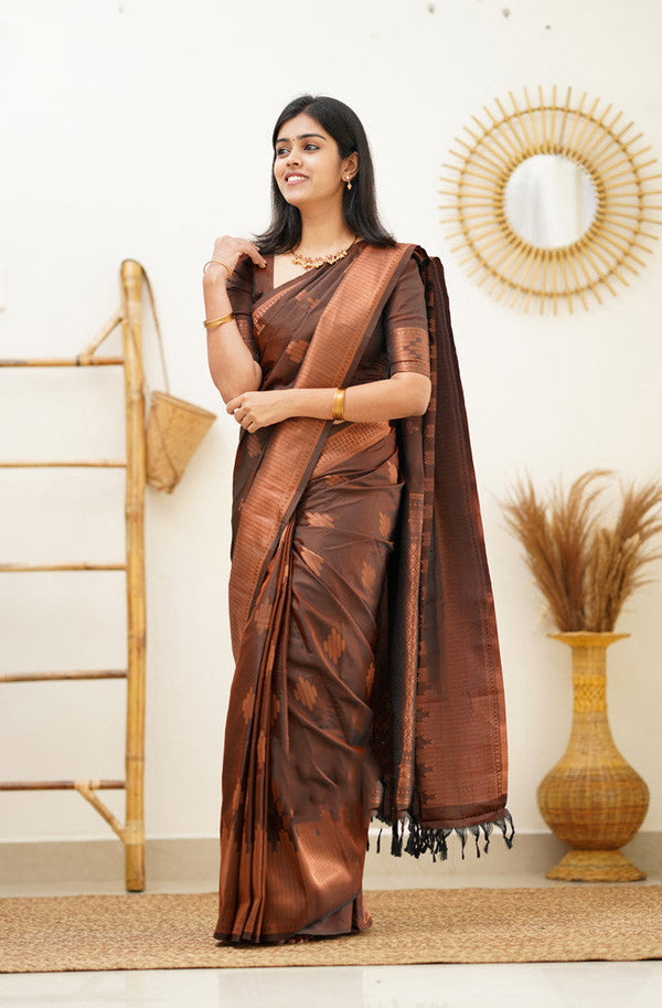 Gleaming Brown Soft Silk Saree With Flaunt Blouse Piece - Shop authentic Indian Women's Fashion by Silk Folks