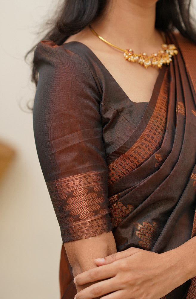 Gleaming Brown Soft Silk Saree With Flaunt Blouse Piece - Shop authentic Indian Women's Fashion by Silk Folks