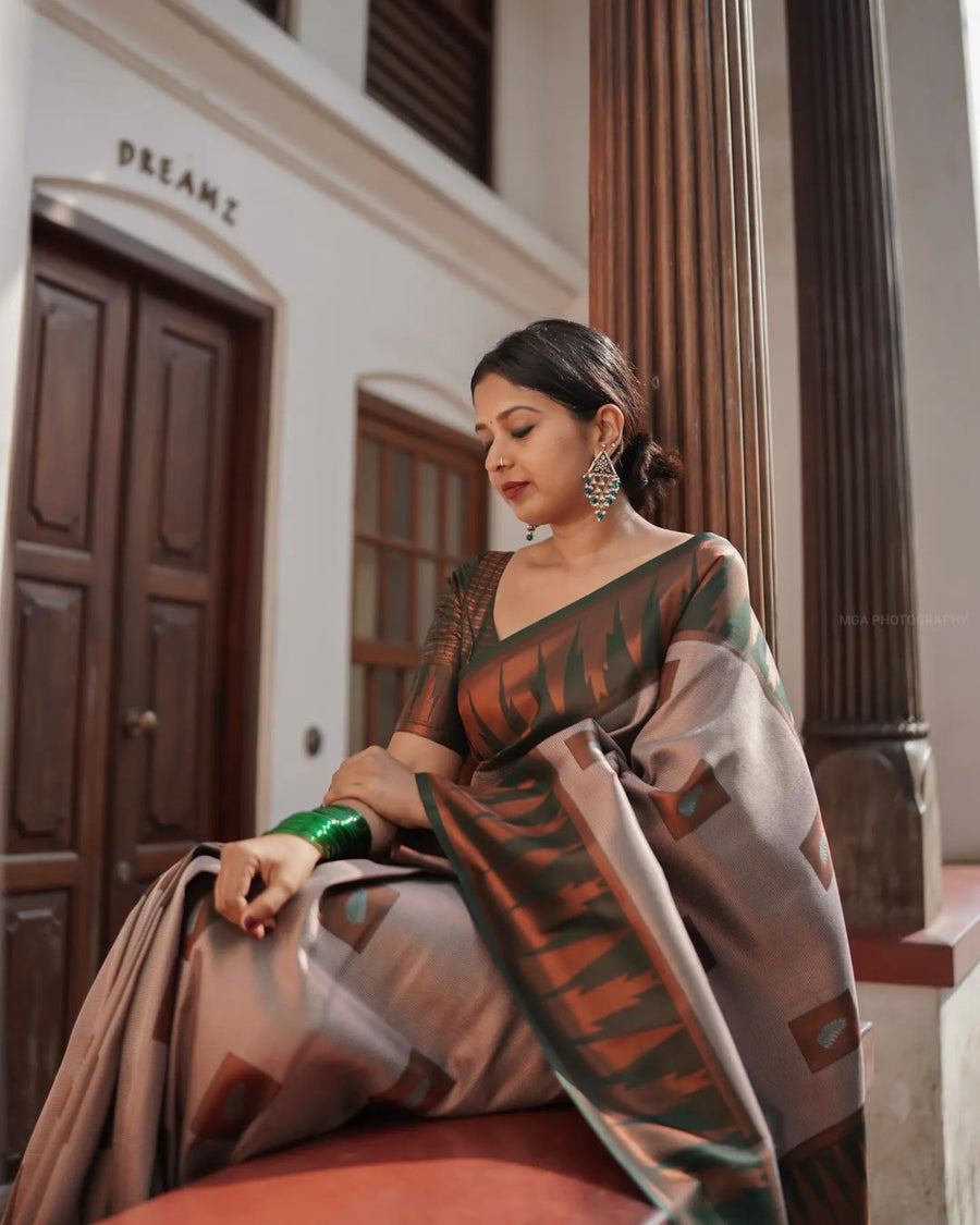 Luxuriant Grey Soft Silk Saree With Panoply Blouse Piece - Shop authentic Indian Women's Fashion by Silk Folks
