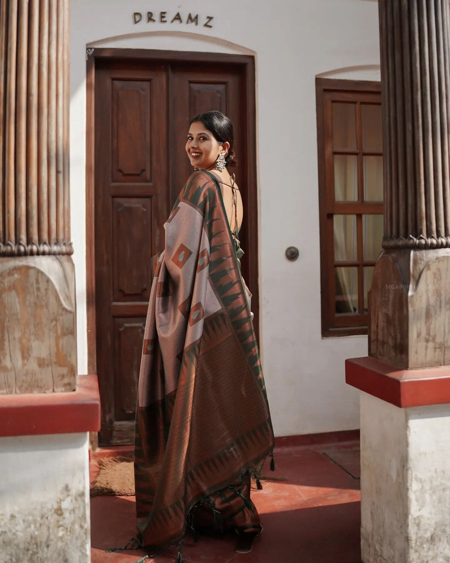 Luxuriant Grey Soft Silk Saree With Panoply Blouse Piece - Shop authentic Indian Women's Fashion by Silk Folks