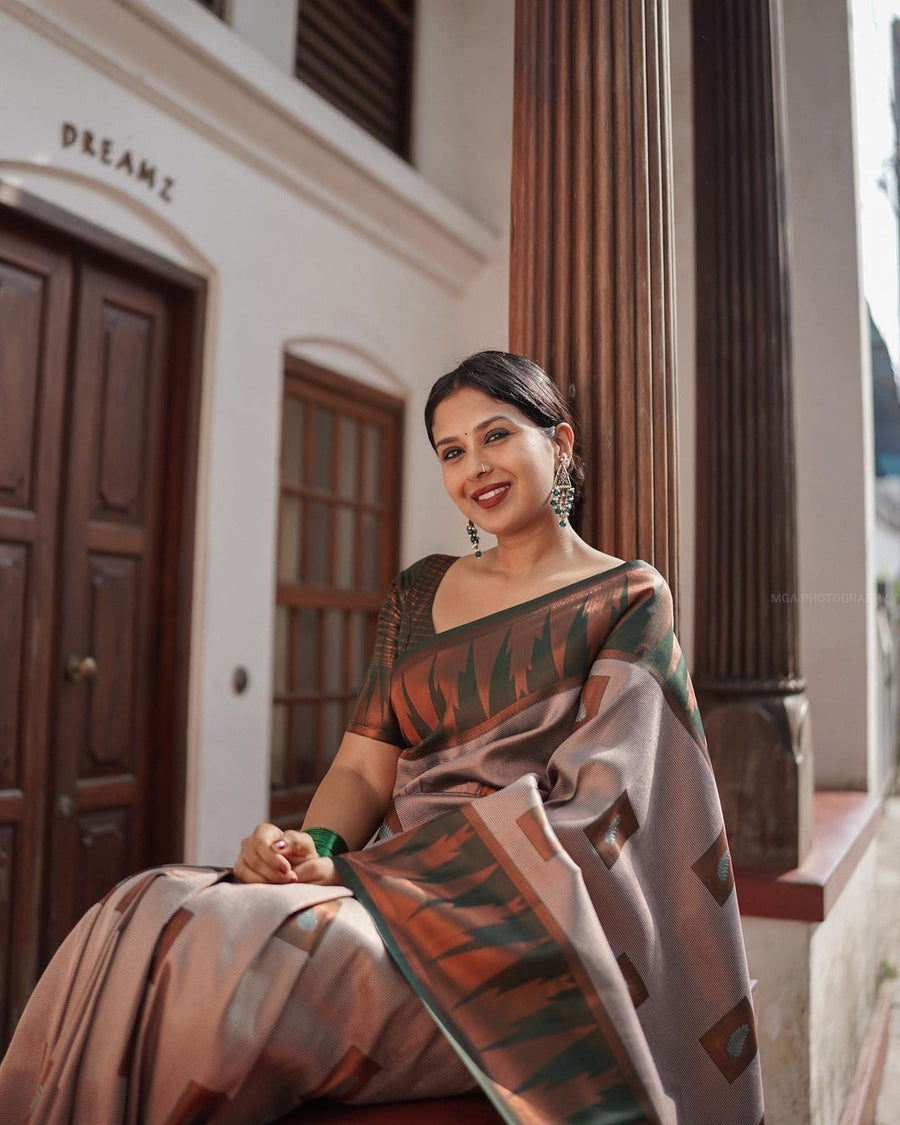 Luxuriant Grey Soft Silk Saree With Panoply Blouse Piece - Shop authentic Indian Women's Fashion by Silk Folks