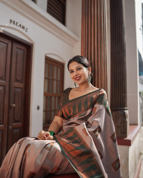 Luxuriant Grey Soft Silk Saree With Panoply Blouse Piece - Shop authentic Indian Women's Fashion by Silk Folks