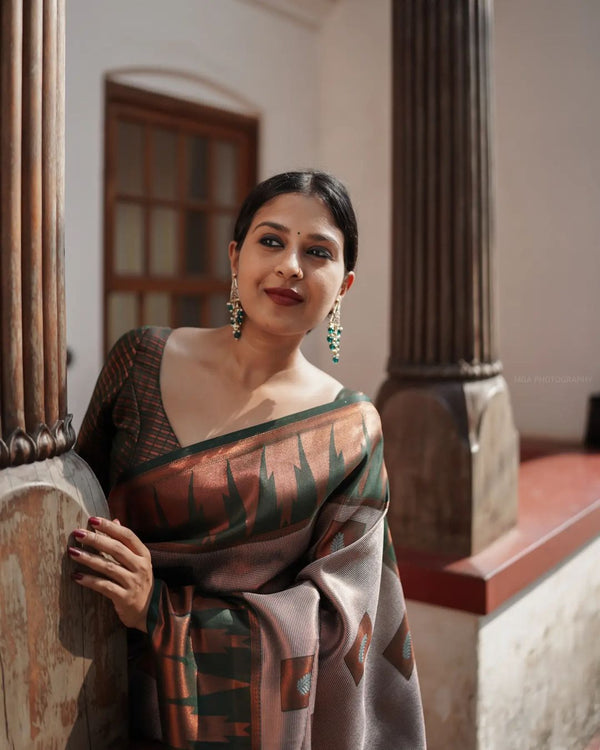 Luxuriant Grey Soft Silk Saree With Panoply Blouse Piece - Shop authentic Indian Women's Fashion by Silk Folks