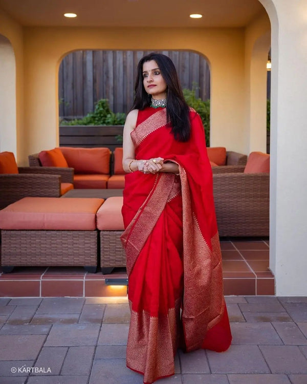 Adorning Red Soft Silk Saree With Unequalled Blouse Piece - Shop authentic Indian Women's Fashion by Silk Folks