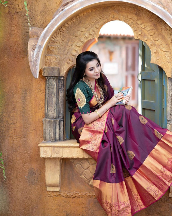 Incredible Wine Soft Banarasi Silk Saree With Adorable Blouse Piece - Shop authentic Indian Women's Fashion by Silk Folks